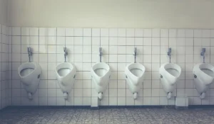öffentliche toiletten