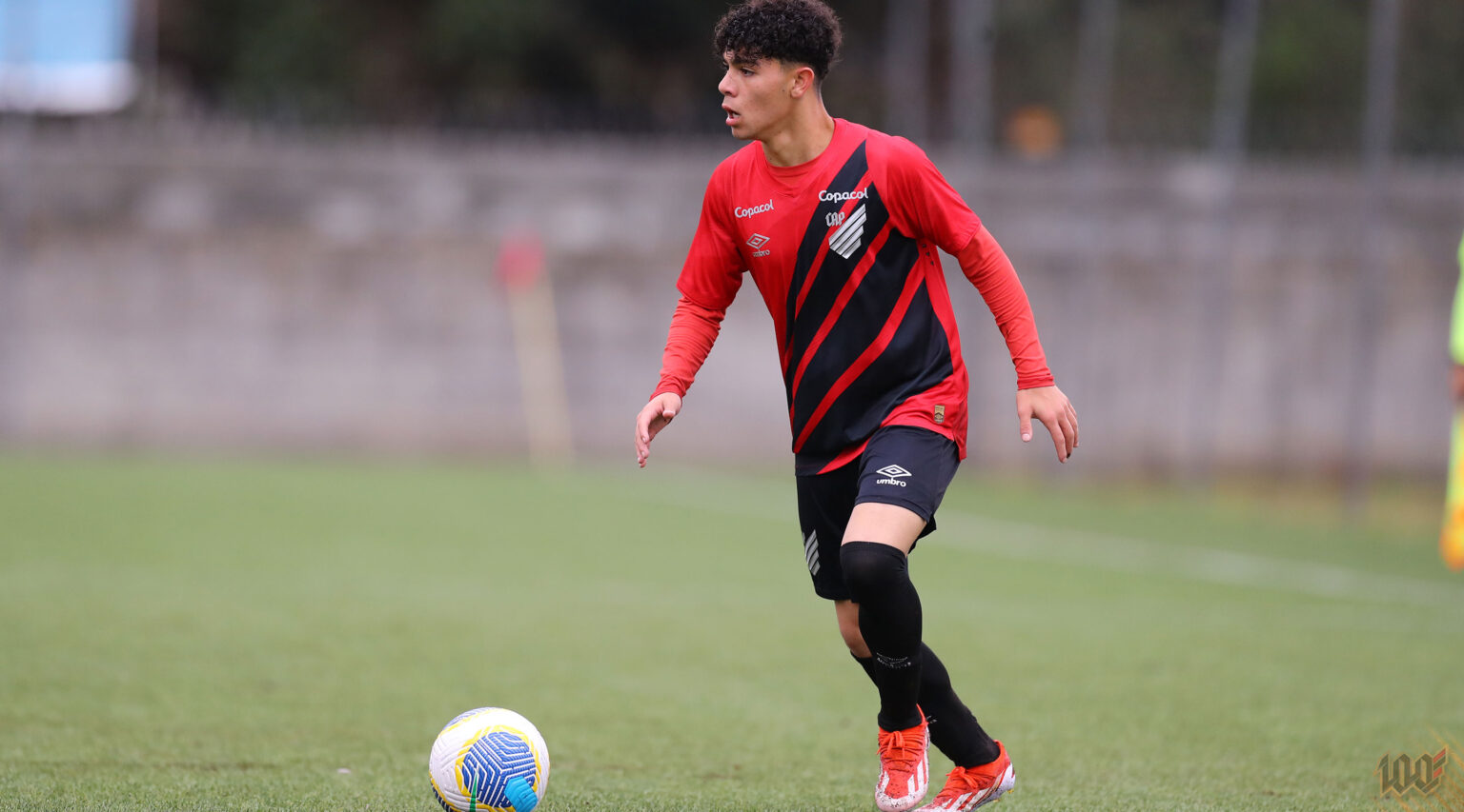 lronardo cerci at paranaense altura
